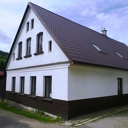 Penzion Pod Studenovem Rokytnice nad Jizerou Exteriör bild